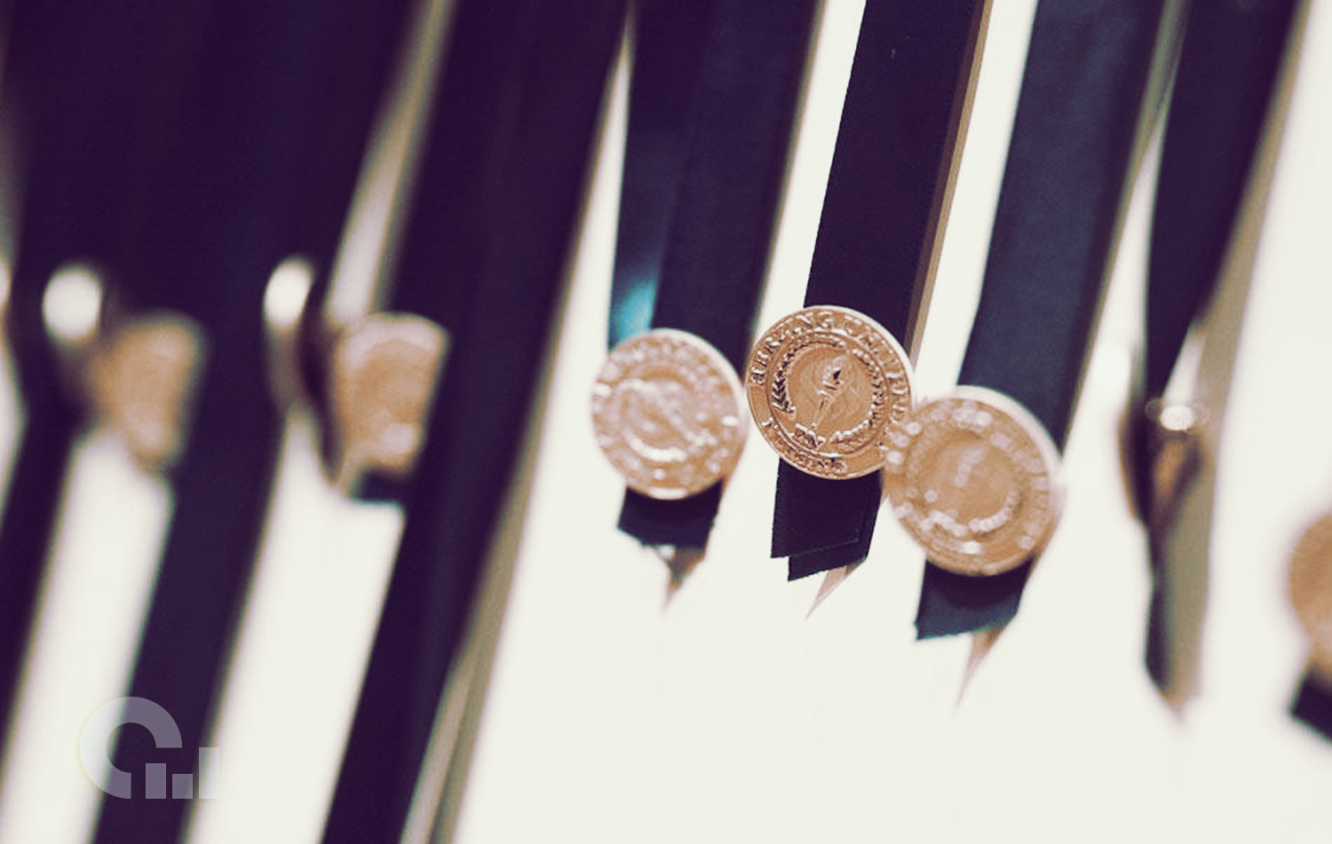 Herzing UniversityMadison Online Schools Report