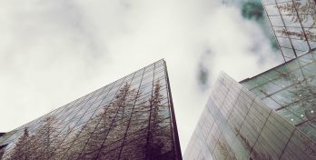 5 Best Online Master’s in Sustainability Studies