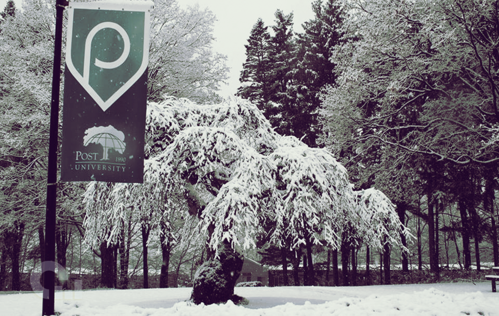 Best Online Business Administration Degrees - Online Schools Report