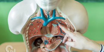 Best Online Master's in Health Education