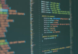 Why Learn Web Development?