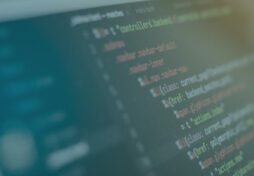 How Long Does It Take to Learn Web Development?