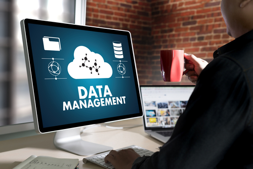 Database Management Degrees