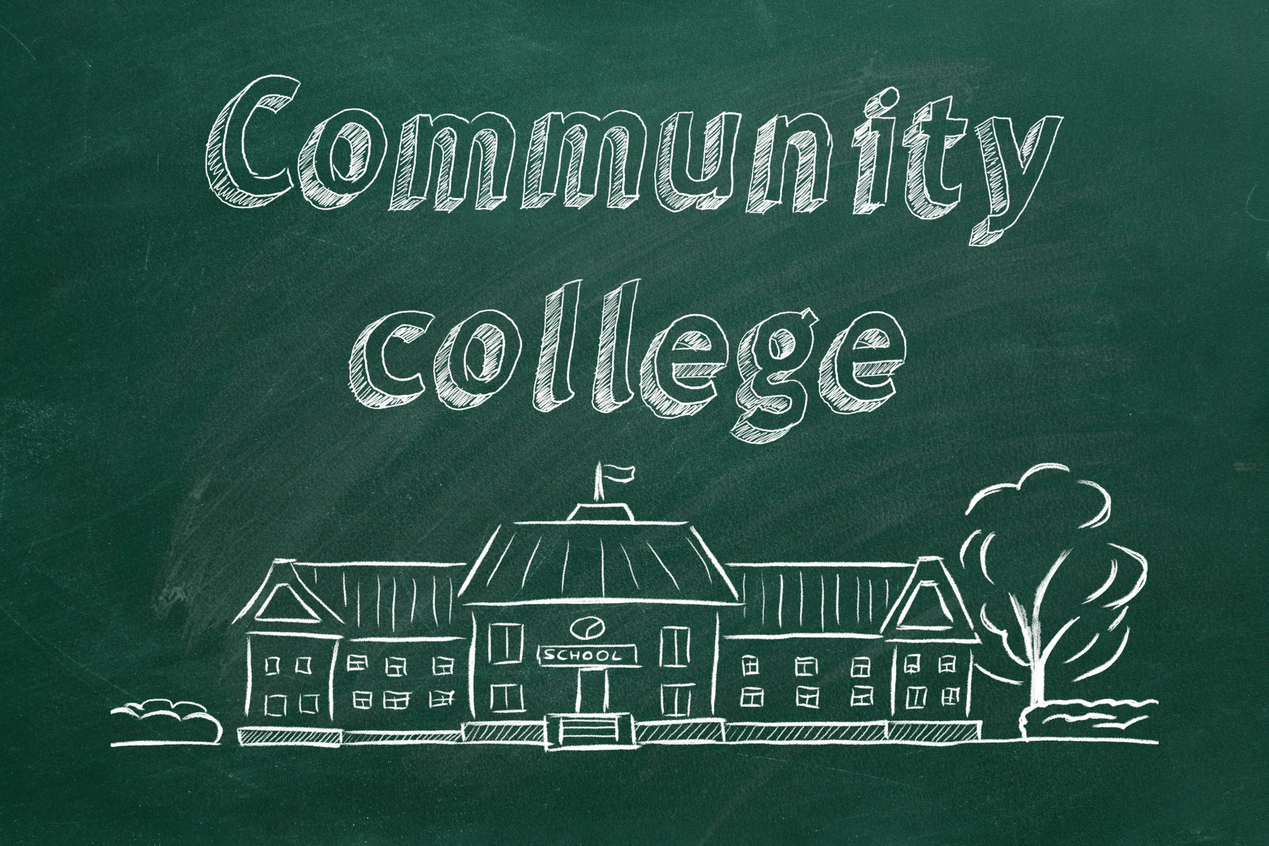 Best online community college