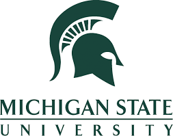 Michigan State University Ann Feldman Scholarship